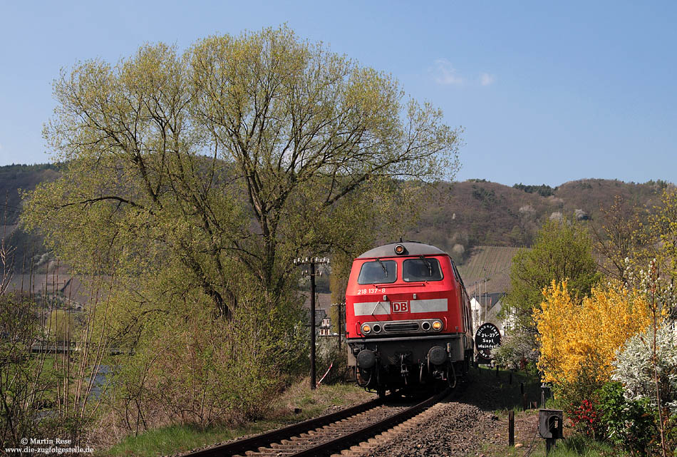 218 137 passiert blühende Büsche bei Dernau