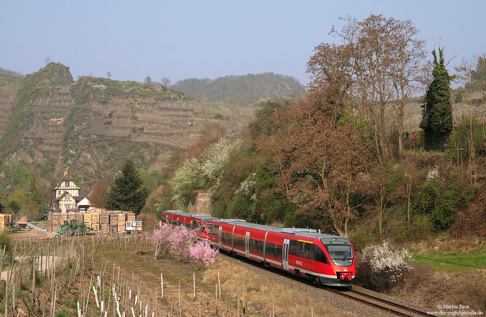 643 011 im frühlingshaften Ahrtal bei Mayschoß mit Bahnhof im Hintergrund