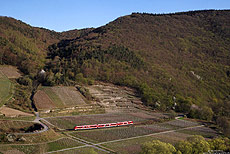 Panoramablick in das Ahrtal bei Mayschoß mit 620 016 als RB11127