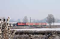 Ein weiteres Foto mit einem 440-Ersatzzug: Die RB 390369 (Augsburg - Donauwörth) bespannt mit der Münchener 110 343, aufgenommen zwischen Bäumenheim und Donauwörth. 12.1.2009
