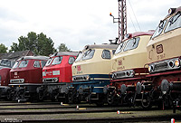 Die „Dieselfraktion“ war unter Anderem gleich mit fünf Lokomotiven der V160-Familie vertreten: 217 001 (DB-Systemtechnik), 218 105 (Westfrankenbahn), 217 014 (DB-Museum), 225 021 (DB-Schenker) und 218 387 (Kurhessenbahn).