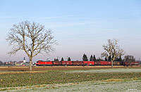 Von Offenburg bis Freiburg verläuft die KBS703 ohne nennenswerte Höhepunkte durch das weite Rheintal. Dennoch lassen sich hier einige reizvollen Motive finden. Nahe Lahr (Schwarzwald) fährt die 185 116 mit einem kurzen Güterzug gen Süden. 17.1.2012