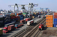 In Mannheim Mühlau legt die 294 600 zwischen einer Vielzahl von Containern eine Rangierpause ein. 14.3.2012