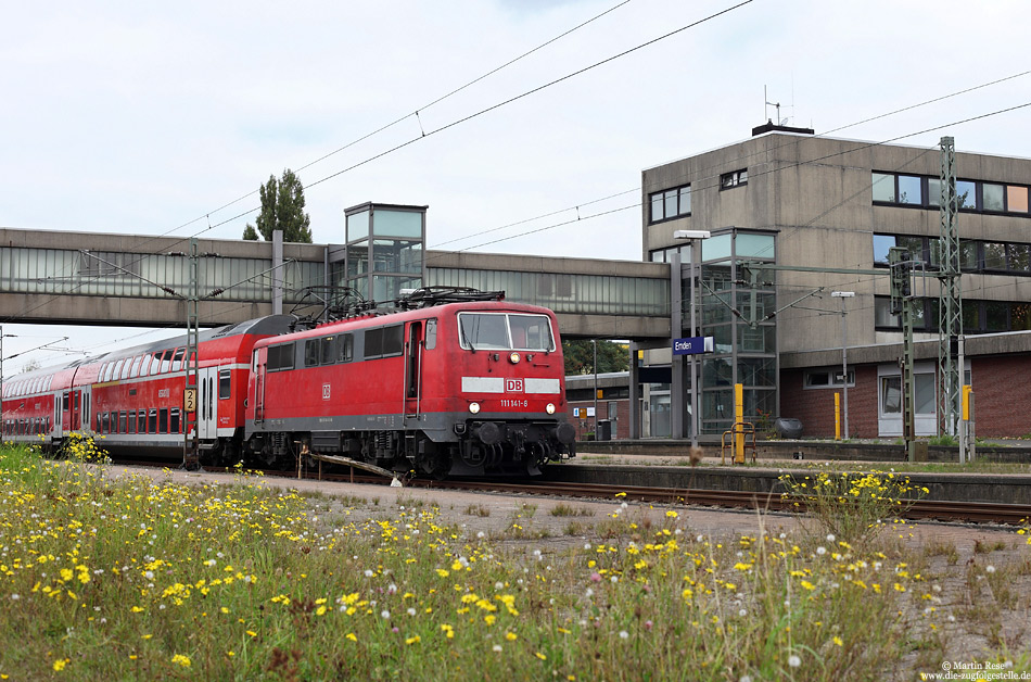 Blühende Landschaften! Gesehen im Bahnhof Emden Hbf am 5.10.2013.