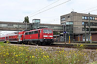 Blühende Landschaften! Gesehen im Bahnhof Emden Hbf am 5.10.2013.