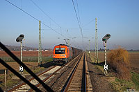 Nahe Mettenheim begegnete mir am 10.12.2013 die RTS-1216 901 mit einem NIAG-Kohlezug.