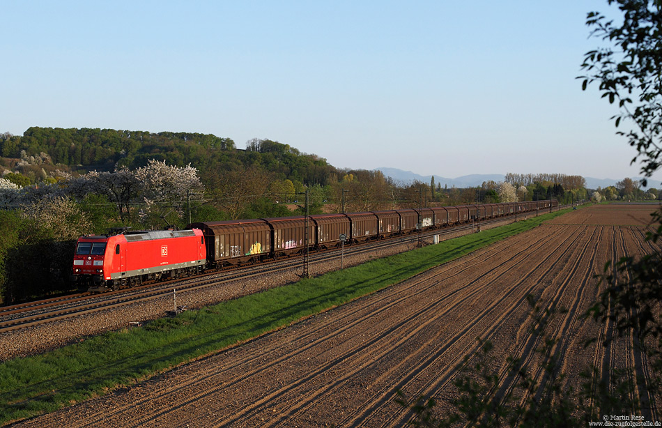 Im letzten Licht des 25.4.2013 fährt die 185 004 mit dem RedBull-Zug CS49156 (Bludenz – Bremerhaven Kaiserhafen) bei Kenzingen gen Norden.