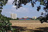 Auf den Strecken rund um Grünstadt dominieren Ludwigshafener 628. Die Aufnahme der RB28532 (Frankenthal – Ramsen) entstand zwischen Frankenthal und Flomersheim mit dem „Villenviertel“ von Frankenthal im Hintergrund. 20.8.2013
