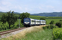 Auf der Kaiserstuhlbahn (Riegel – Breisach) setzt die SWEG planmäßig NE81 ein. Nahe Burkheim Bischoffingen fährt eine solche dreiteilige NE81-Einheit als SWE89316 nach Riegel. 5.7.2013