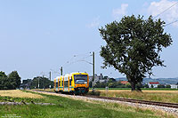 Bis zur Abnahme der Elektrotriebwagen kommen auf der Münstertalbahn Leihfahrzeuge zum Einsatz. Am 7.7.2013 habe ich den VT650 085 und VT650 084 der ODEG als SWE72531 bei Oberkrozingen fotografiert. Nachdem die neu errichtete Fahrleitung seit dem 15.7.2013 unter Spannung steht, könnten die Einsätze der Triebwagen planmäßig zum 21.9.2013 beginnen, wenn sie bis dahin denn ihre Abnahme bekommen! 