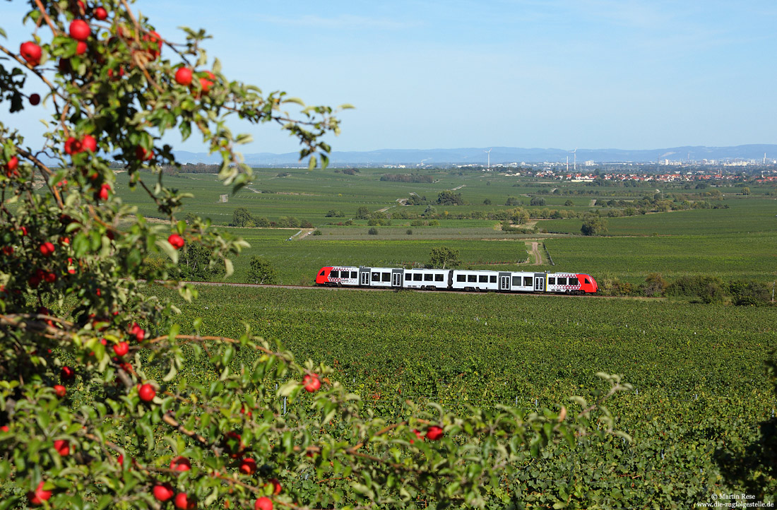 Schon zu „628-Zeiten“ habe ich einige Fotos rund um Herxheim am Berg gemacht. In spätsommerlicher Umgebung macht auch der 622 021 eine gute Figur!