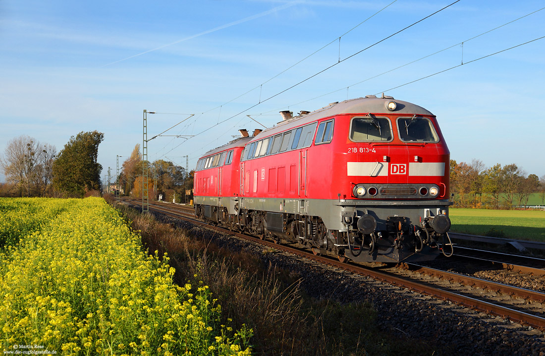 218 813 als Lz an einem Winterrapsfeld bei Werl in der Soester Börde