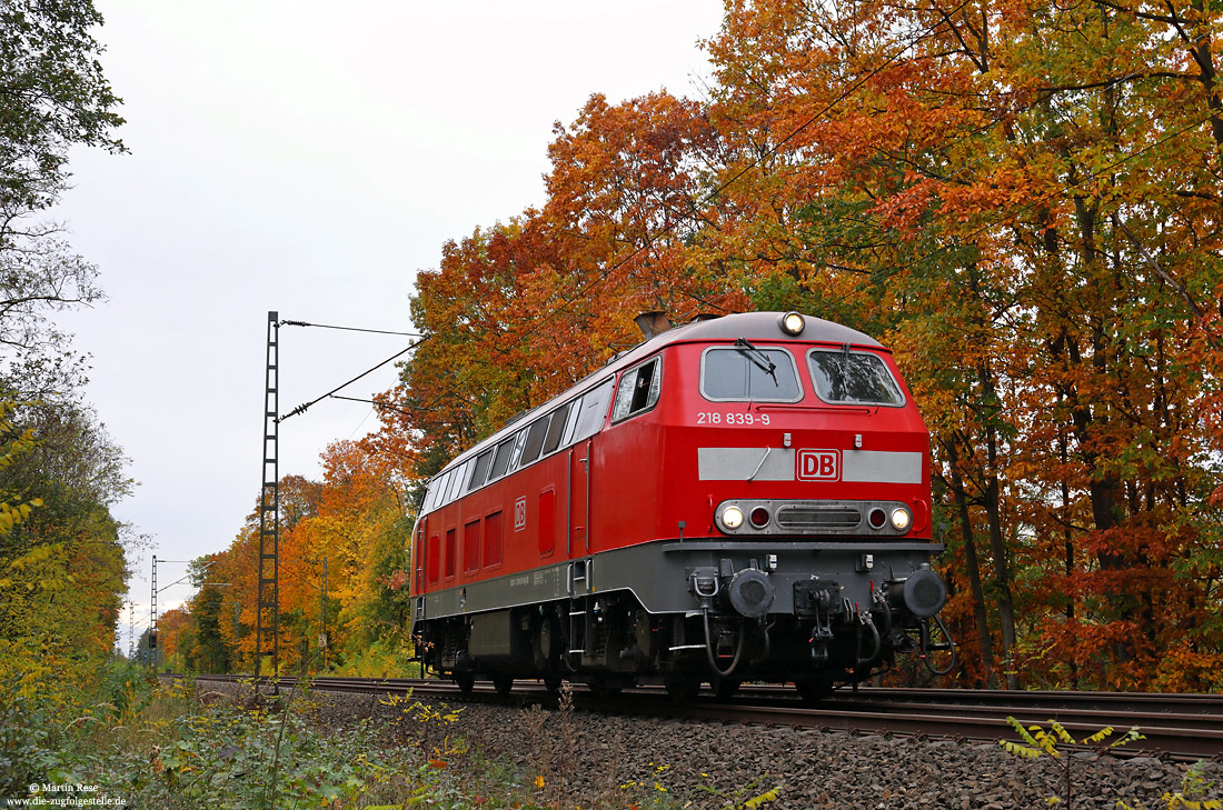 218 839 in verkehrsrot als Lz im Herbst bei Kelsterbach