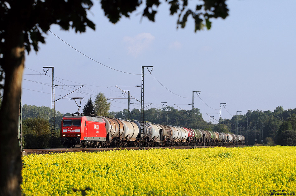 Am 25. September 2008 stand der Winterraps zwischen Bentlage und Salzbergen in voller Blüte. Mit einem Zug aus leeren Kesselwagen fährt hier die 145 003 nach Holthausen.