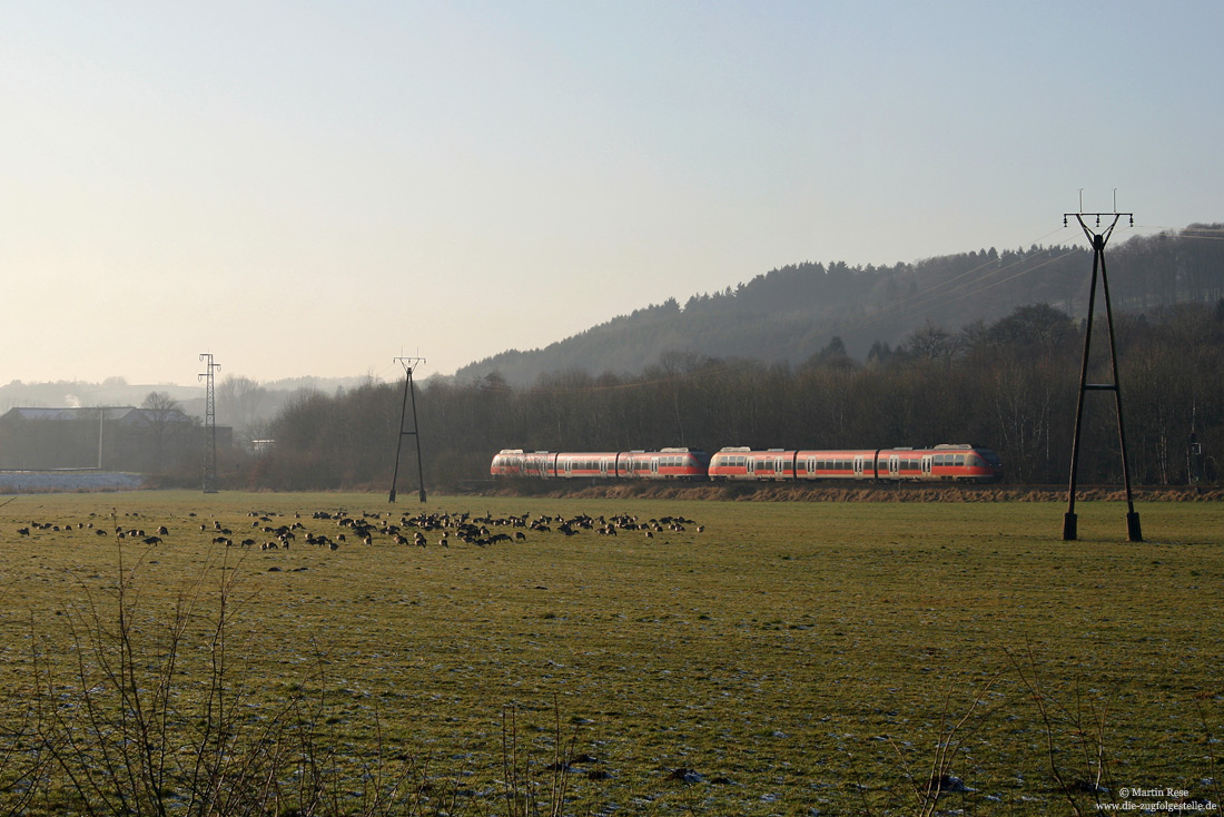 644 006 an den Wiesen bei Ehreshoven mit Wildgänse