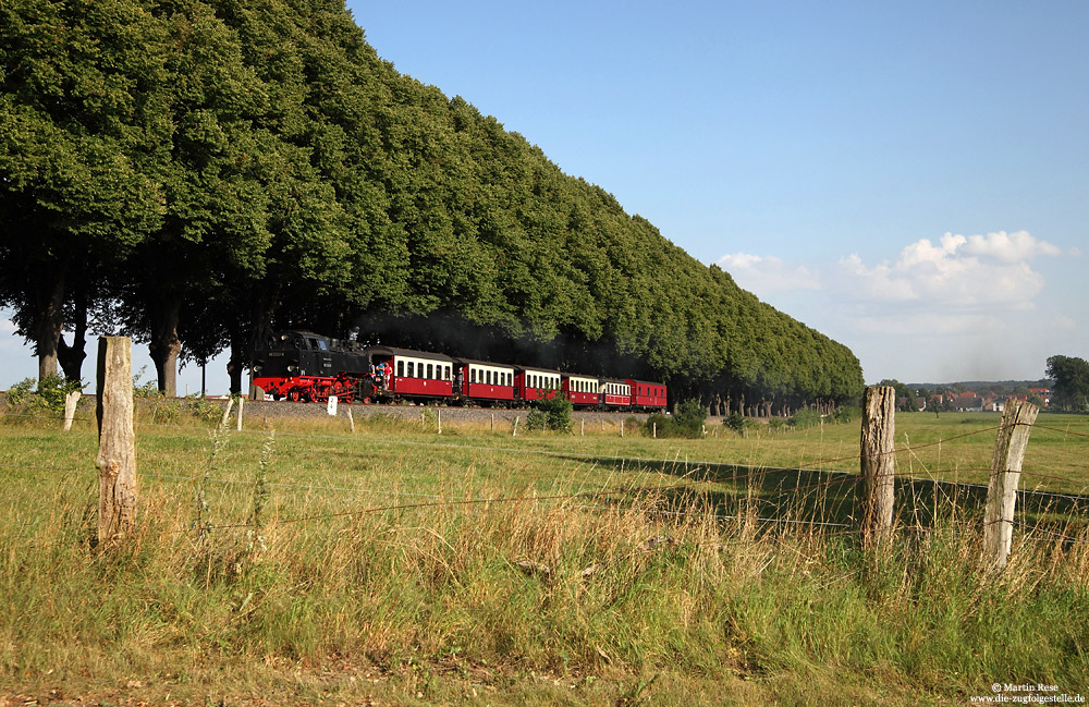 99 2321 zwischen Bad Doberan und Rennbahn an einer Lindenallee