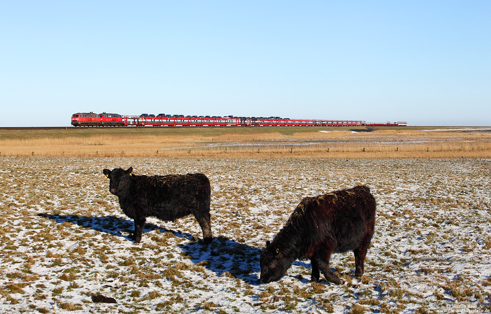 Marschbahn, 218 313 mit Syltshuttle auf dem Weg nach Westerland bei Morsum