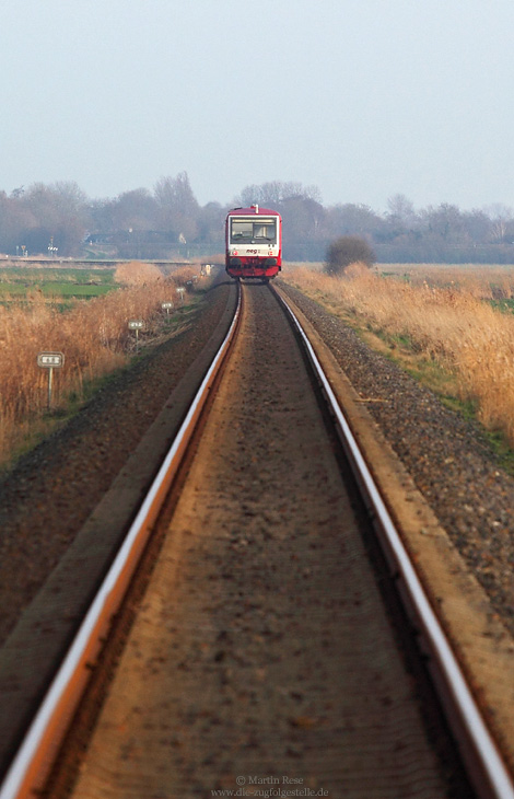 Nachschuss auf den VT506 bei Maasbüll auf der neg-Strecke Niebüll - Dagebüll