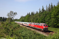 218 345 mit IC2073 im Einschnitt bei Bordelum auf der Marschbahn