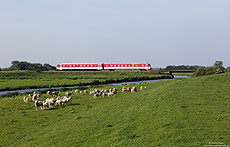 628 521 unterwegs als Sytshuttle Plus SSP1414 bei Risum Lindholm, auf der Marschbahn