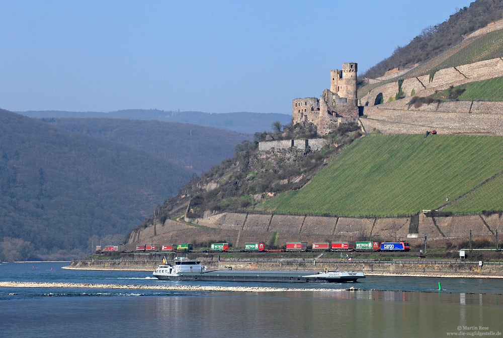 Unterhalb der Burgruine Ehrenfels überholt die SBB-Cargo 482 011 das Motorschiff „VITA DURA“, 13.3.2014.