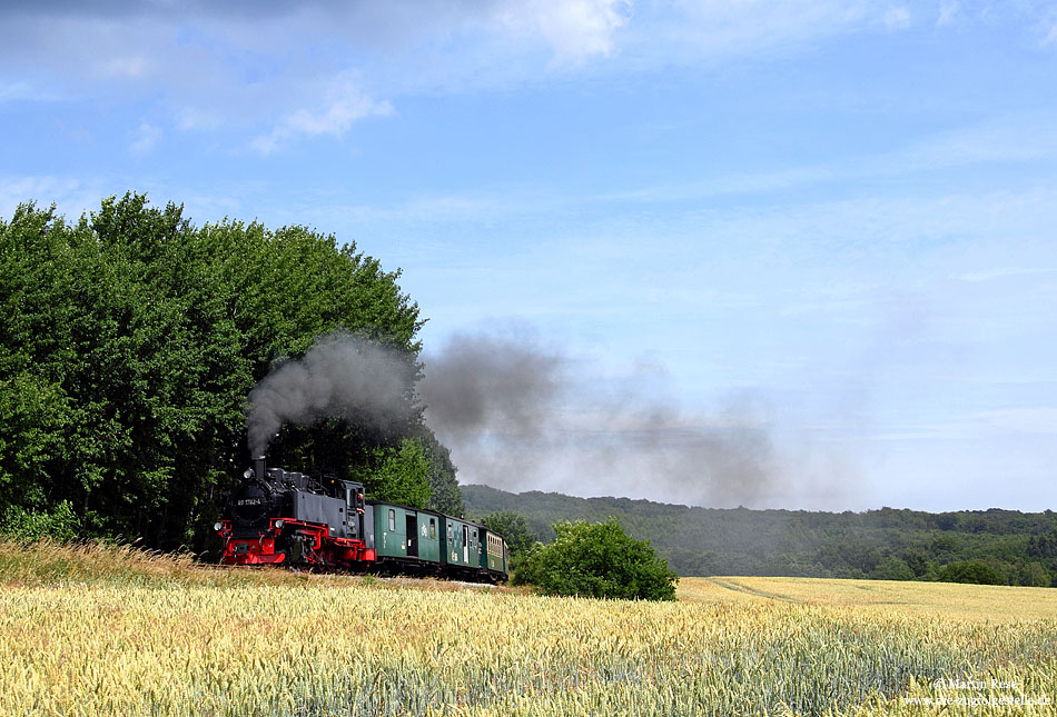 Man glaubt ja kaum, wie hügelig die Insel Rügen ist. Kurz vor Garftitz muss sich die 99 1782 mit dem P226 schon ganz schön ins Zeug legen, um die letzten Meter bis zum Bahnsteig zu schaffen. 6.7.2009