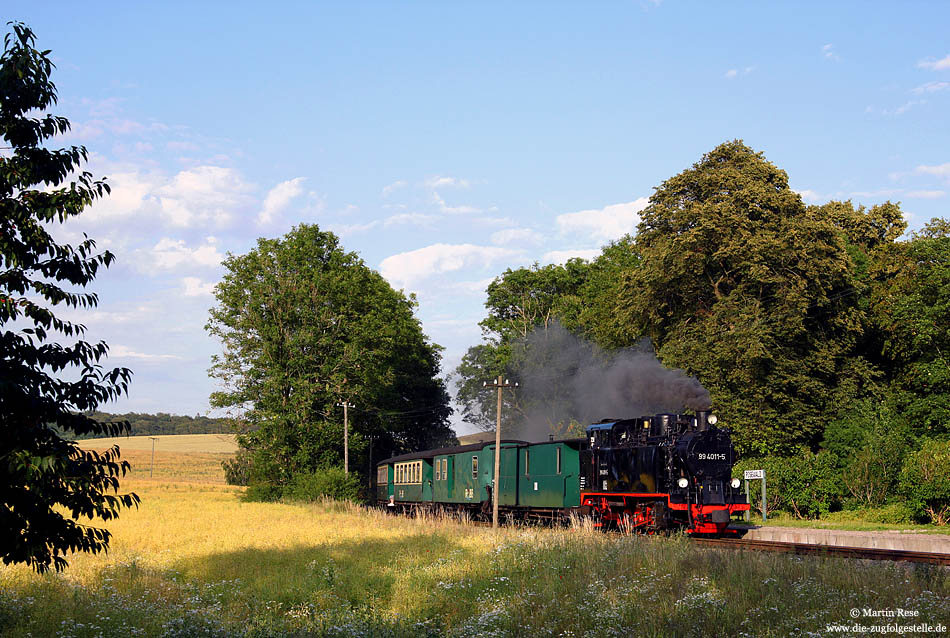 Am Bedarfshaltepunkt Posewald kann 99 4011 ihren Zug P112 wieder beschleunigen, da kein Fahrgast auf dem Bahnsteig zu sehen ist. 13.7.2009