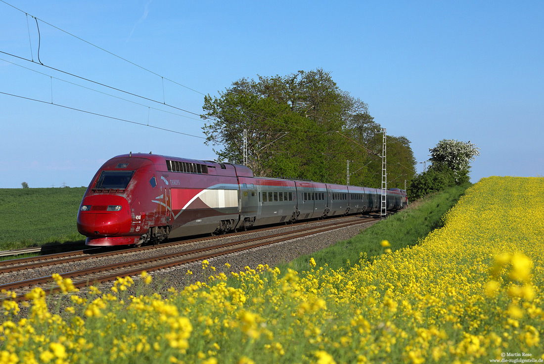 Thalys 4346 als THA9474 am Rapsfeld bei Rommerskirchen