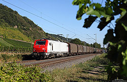 Am 5.9.2013 fährt die E37 520 der CB-Rail durch das spätsommerliche Rheintal.